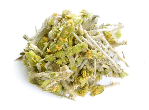 Sideritis, olarak da bilinen ironwort, dağ çayı ve shepherd'ın çay. Beyaz izole — Stok fotoğraf
