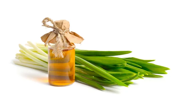 Allium ursinum, bekannt als Bärlauch, Ramsons, Buckrams, Breitblättriger Knoblauch, Waldknoblauch, Bärlauch oder Bärlauch. — Stockfoto