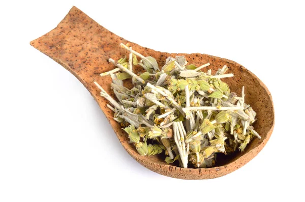 Sideritis, también conocida como hierba de hierro, té de montaña y té de pastores. Aislado sobre blanco — Foto de Stock