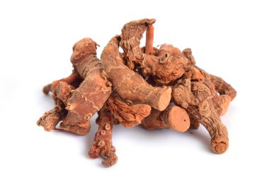 Alpinia officinarum, daha az galangal olarak bilinen, ya da Havlucan. Kurutulmuş kök. Beyaz arka planda yalıtılmış
