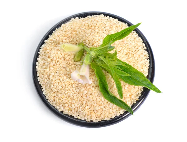 Sesampflanze mit Blüten und Samen isoliert auf weißem Hintergrund — Stockfoto