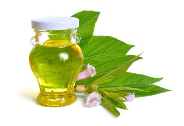 Beyaz arka plan üzerinde izole bitki ile susam yağı