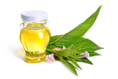 Beyaz arka plan üzerinde izole bitki ile susam yağı