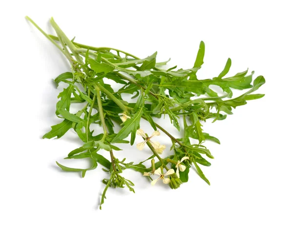 Foguete ou arugula Eruca vesicaria ou Brassica eruca. Planta com flores. Isolados — Fotografia de Stock