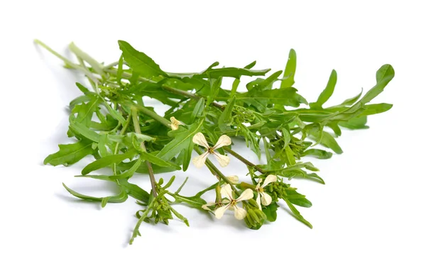 Rocket or arugula Eruca vesicaria or Brassica eruca. Plant with flowers. Isolated — Stock Photo, Image