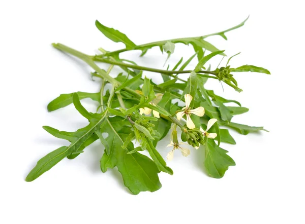 Foguete ou arugula Eruca vesicaria ou Brassica eruca. Planta com flores. Isolados — Fotografia de Stock