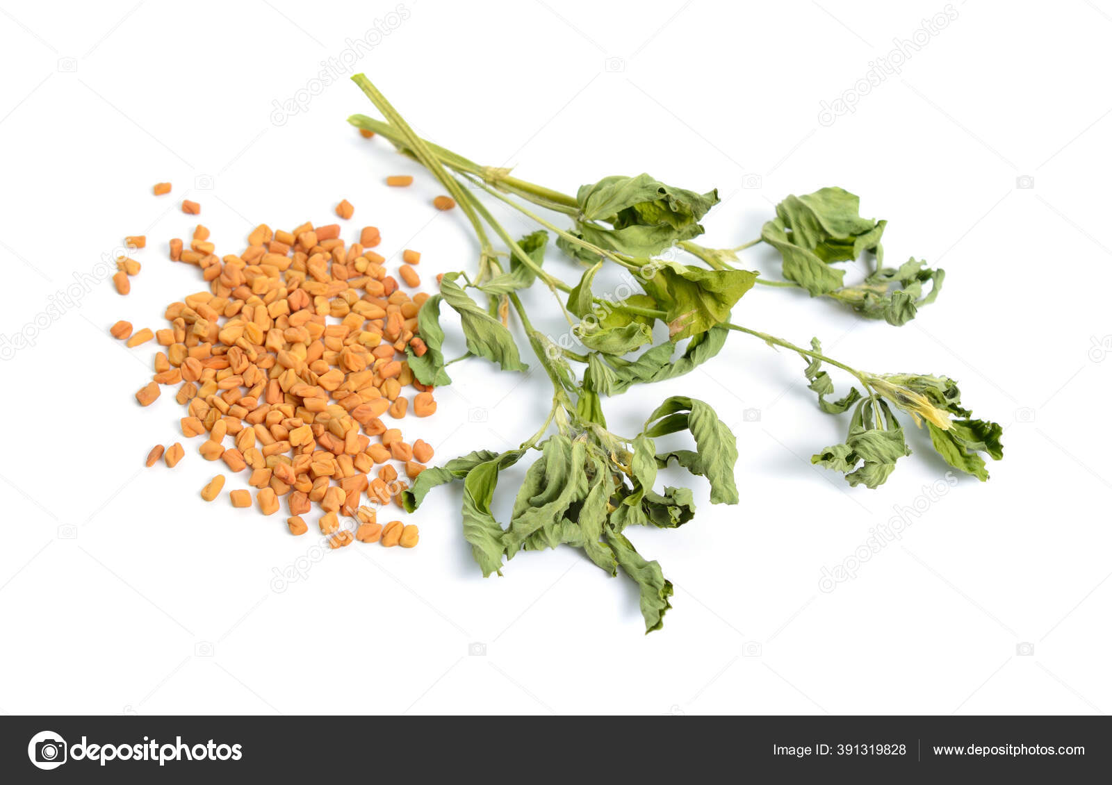 Fenugreek Trigonella Foenum Graecum Green Ang Dried Plant Seed Isolated Stock Photo Image By C Spline X