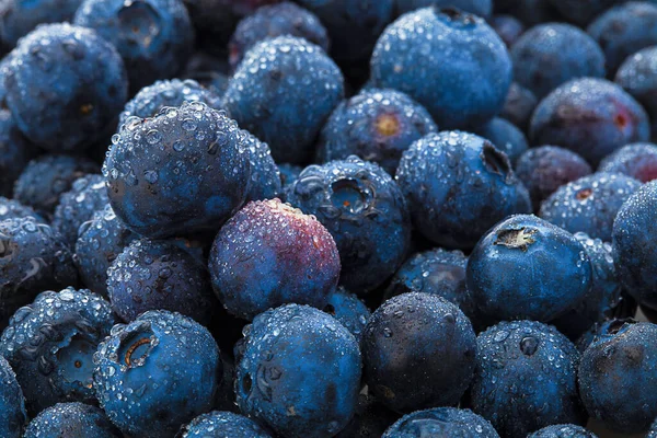 Myrtilles Fond Fruits Gouttes Eau Sur Les Bleuets Doux Mûrs — Photo