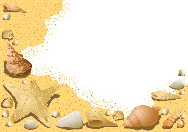 Fundo Sandy Com Seashells Ilustração Decorativa Com Vida Subaquática Vetor — Vetor de Stock