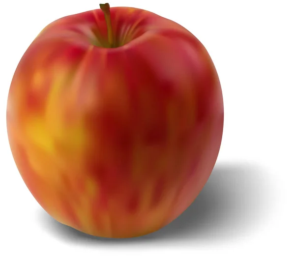 Reifer Apfel Isoliert Auf Weißem Hintergrund Detaillierte Abbildung Vektorgrafik — Stockvektor