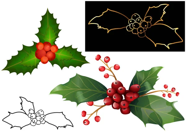 Collezione Christmas Holly Berries Leaves Set Illustrazioni Vostri Progetti Grafici — Vettoriale Stock