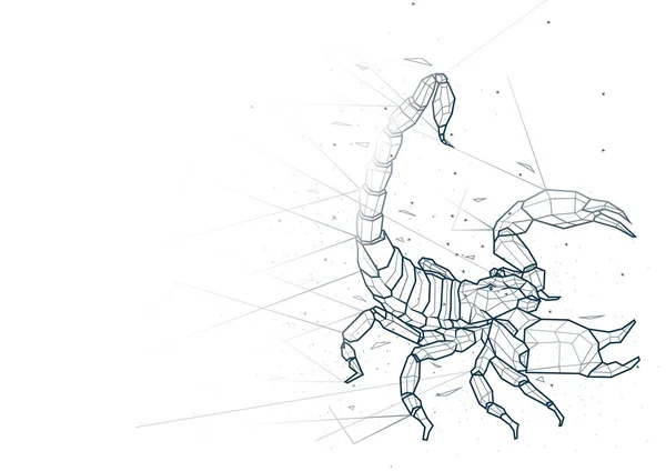 Abstract Scorpion Uit Low Poly Wireframe Geïsoleerd Witte Achtergrond Polygonal — Stockvector