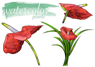 Kırmızı Suluboya Çiçek Seti