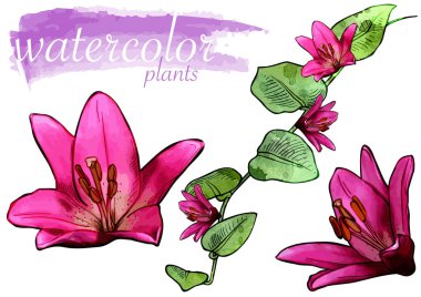 Mor Suluboya Çiçek Seti