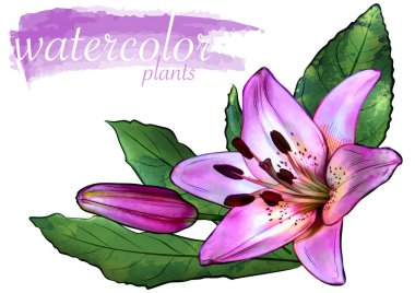 Yapraklı Mor Suluboya Çiçeği - Grafik Resminiz için Çiçek Tasarım Elementleri, Vektör