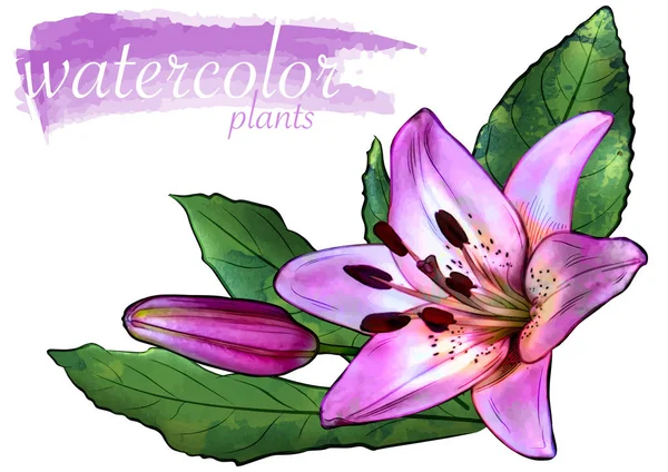 Yapraklı Mor Suluboya Çiçeği - Grafik Resminiz için Çiçek Tasarım Elementleri, Vektör