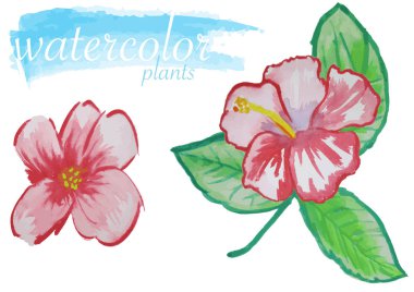 Kırmızı Suluboya Çiçek Seti