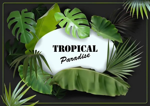 Fondo Hojas Tropicales Verdes Con Bandera Ovalada Blanca Negro Ilustración — Vector de stock