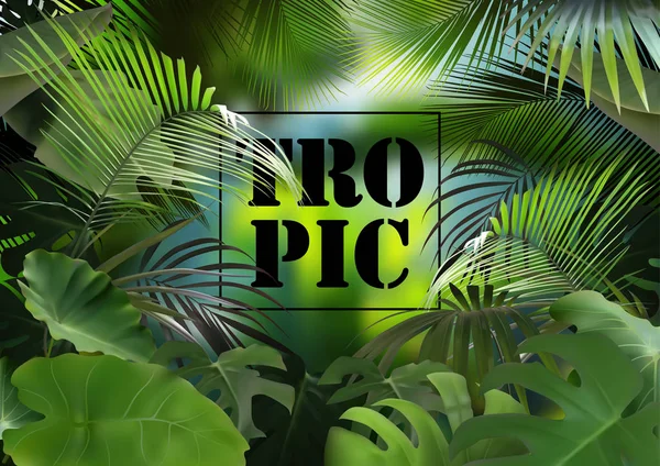 Tropischer Hintergrund Mit Fotorealistischer Vegetation Exotische Komposition Mit Detaillierten Tropischen — Stockvektor