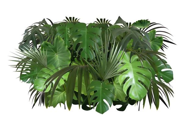 白い背景に隔離された熱帯葉の葉の配置 フォトリアリスティックで詳細なイラスト ベクトル — ストックベクタ