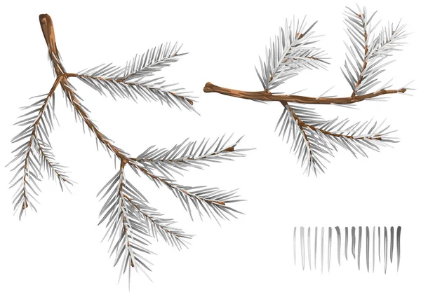 Wintry Spruce Branşları Beyaz Arkaplanda Zole Edilen Ayrıntılı Gerçekçi Resimler — Stok Vektör