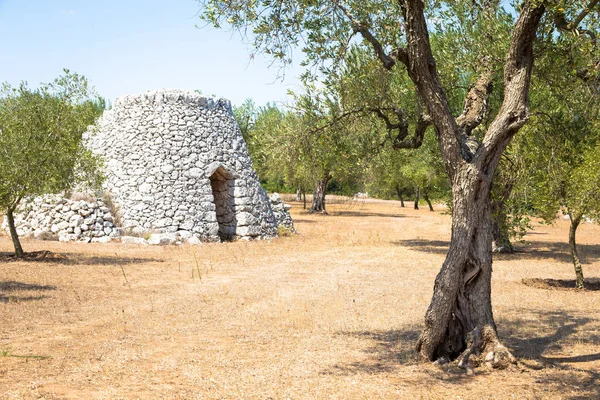 在意大利 Salento 地区传统的农村仓库当地方言中命名为 Furnieddhu 它是石头的传统的建筑在橄榄农业地区做的 — 图库照片