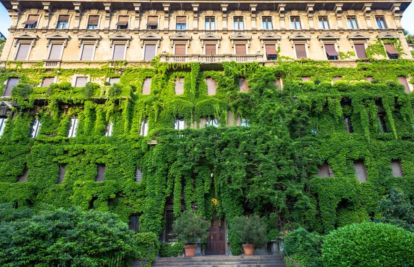 Integratie Van Natuur Vastgoed Dit Oude Italiaanse Gebouw — Stockfoto