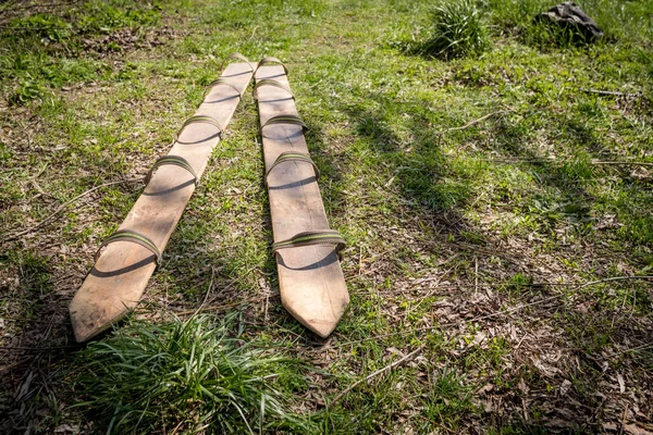 Lange houten Ski's op groen gras. Actieve spellen Rechtenvrije Stockfoto's
