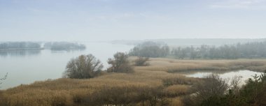 Panoramik Dinyeper Nehri'nin sisli bir sis. Güzel sonbahar manzara. Zaporozhye region, Ukrayna