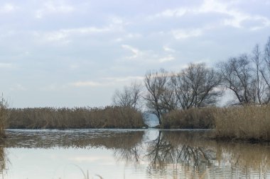 Güzel sonbahar manzara. Bulutlu gökyüzü ve nehir Dnieper, Zaporozhye region, Ukrayna