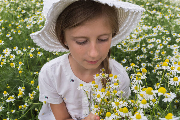 Portrait of a beautiful girl in a white dress and a hat inhaling the fragrance of daisy flowers on a meadow