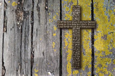 Eski ahşap tahta yeşil yosun ile yıpranmış. Ayrıntılı doku. Portre.