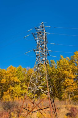 Sonbahar parkında yüksek voltajlı kule. Sarı-yeşil ağaçlar ve mavi gökyüzü.