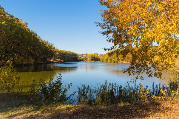 Красивый осенний пейзаж. Голубое небо, озеро и желто-зеленые деревья в парке — стоковое фото
