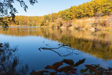 Sarı-yeşil ağaçları ve mavi gökyüzü arka planında gölü olan güzel sonbahar parkı.