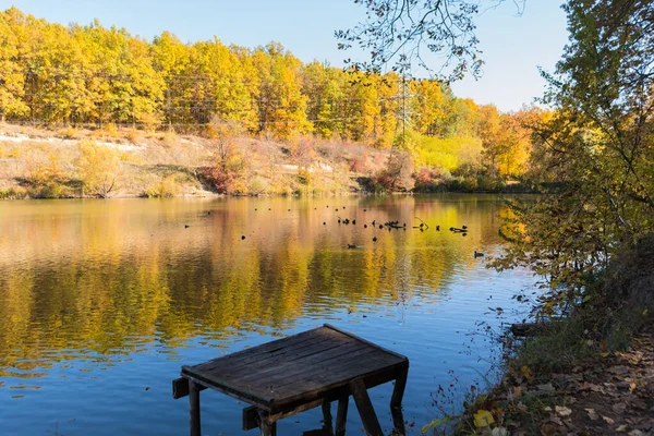 Вид на красивое озеро с утками на фоне желто-зеленых деревьев и голубого неба — стоковое фото