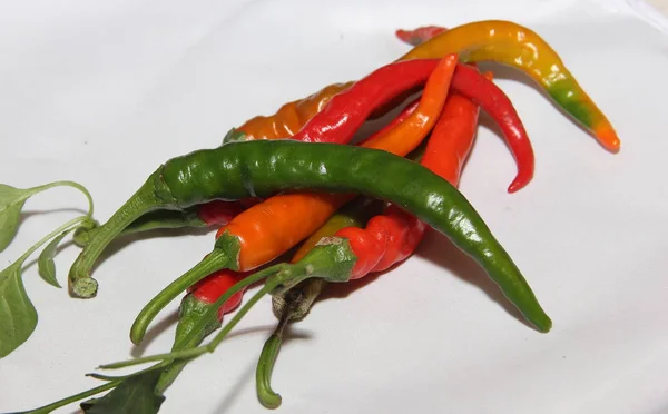 Spicy Chili Astrakhan Pepper — Stock Photo, Image