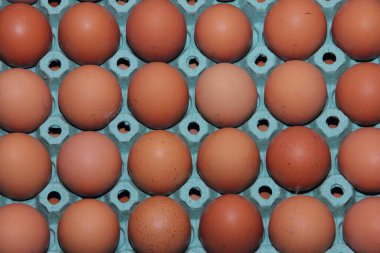 Kahverengi yumurtalar yeşil kağıt tepside uzanır ve dokulu bir arka plan oluşturur.