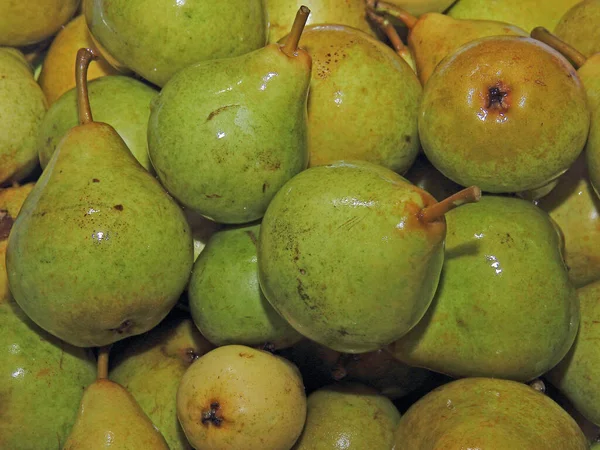 Textur Mogen Saftig Frukt Päronträdet Grön Fruktstruktur — Stockfoto