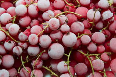 Böğürtlen soğuğunun dondurucu şokunda donmuş doku.