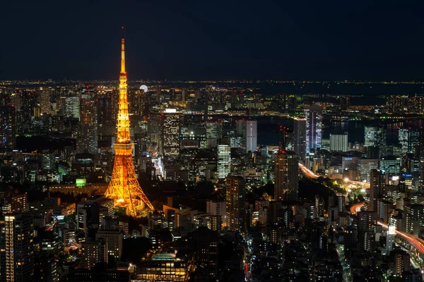 六本木ヒルズの高層ビルの一番上から見える夜の東京の街並と 暗闇に輝く照明付きの東京タワー 長時間露光 — ストック写真