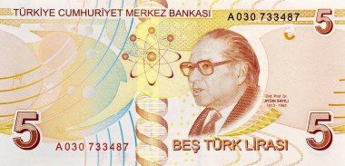 5 liralık banknot.