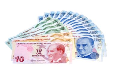 Banknotlar (beyaz üzerine izole edilmiş))