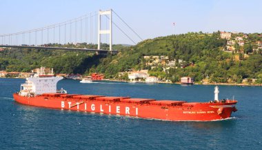 İSTANBUL - 5 Temmuz 2012 'de İSTANBUL: Bulk carrier gemisi BOTTIGLIERI GIORGIO AVINO (IMO: 9426104, İtalya) İstanbul' da. 2011 yılında denize fırlatılan ve 93,269 ton ağırlığında 229 mt uzunluğunda, 38 mt genişliğinde bir gemi.. 