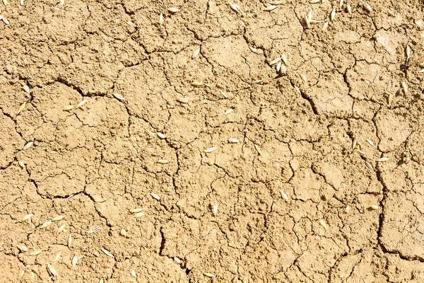 Terreni Secchi Campo Agricolo — Foto Stock