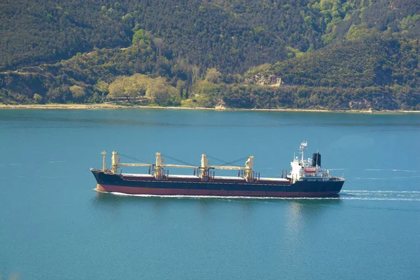 Cargo Ship Sails Bosporus — Stock Photo, Image