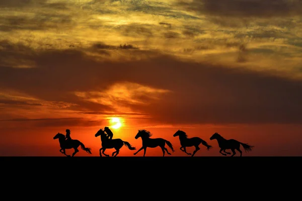 Коні Гонщики Ковзають Сході Сонця — стокове фото