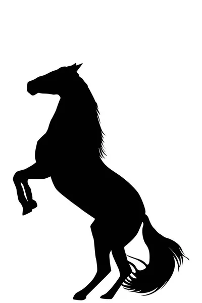 Silhueta Criação Cavalo Sobre Fundo Branco — Vetor de Stock