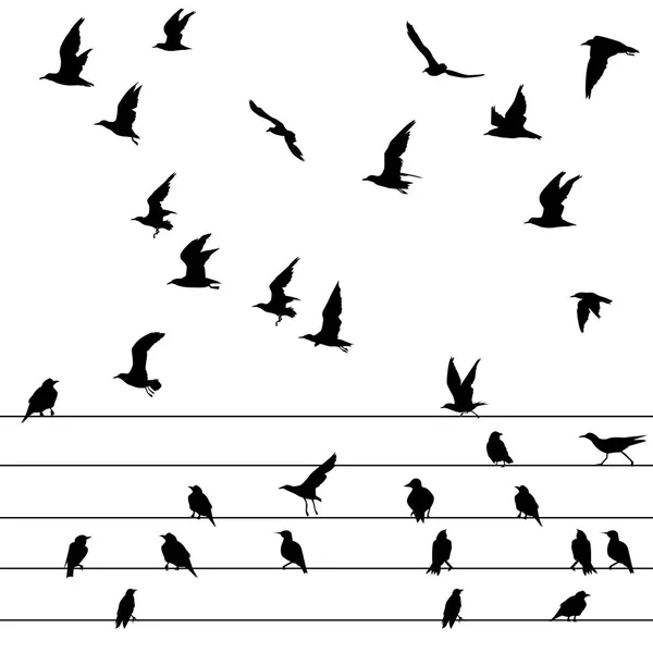 Σμήνος Πουλιών Κάθεται Καλώδια Και Πετούν — Διανυσματικό Αρχείο