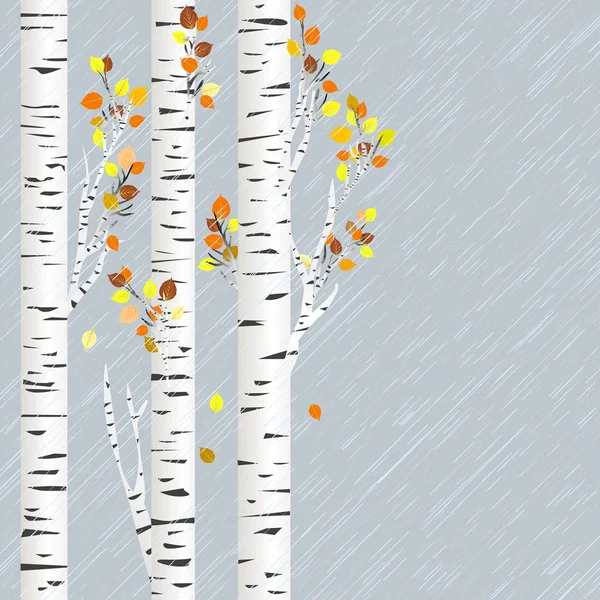 白樺の木と雨の秋の背景 — ストックベクタ